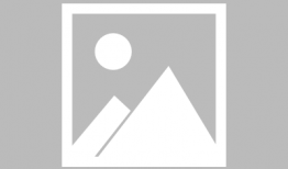 91看电视直播v1,畅享海量直播，尽享视听盛宴